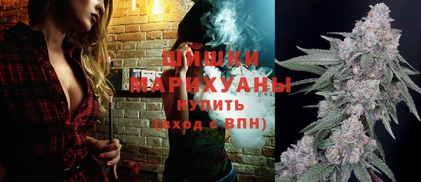 молекула духа Белоозёрский