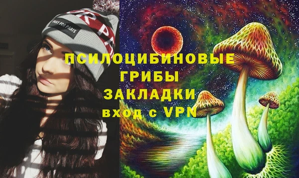 молекула духа Белоозёрский